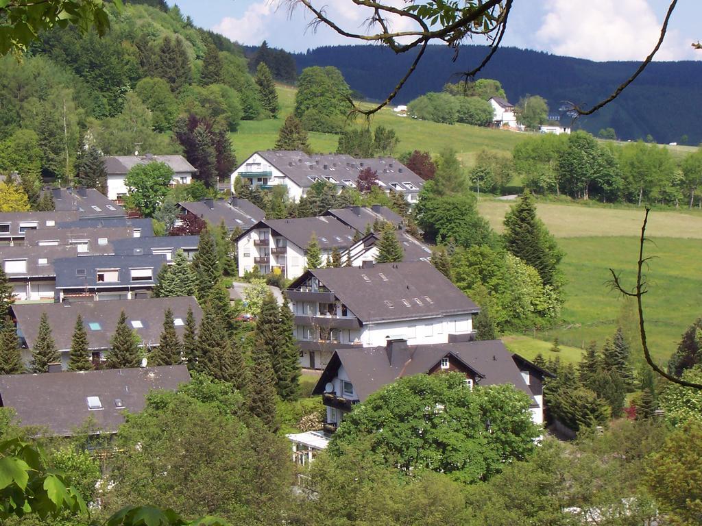 Wietheger'S Ferienwohnungen Gaestehaus Strycktal II Willingen  Εξωτερικό φωτογραφία